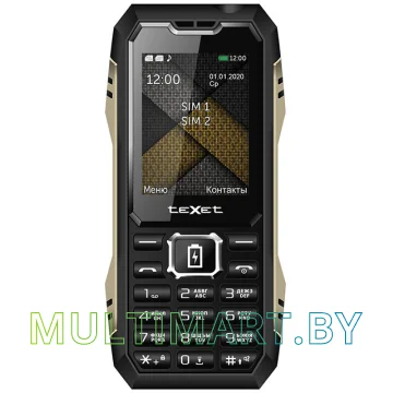 Мобильный телефон TeXet TM-D428 (черный)